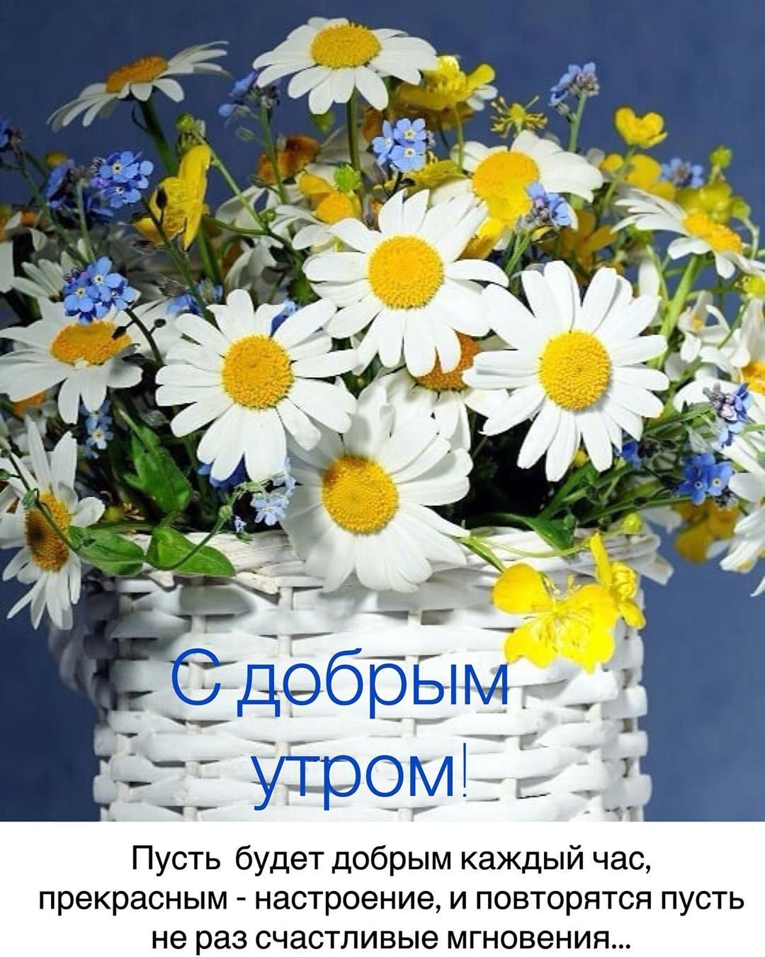 Смешные фразы про бабушек