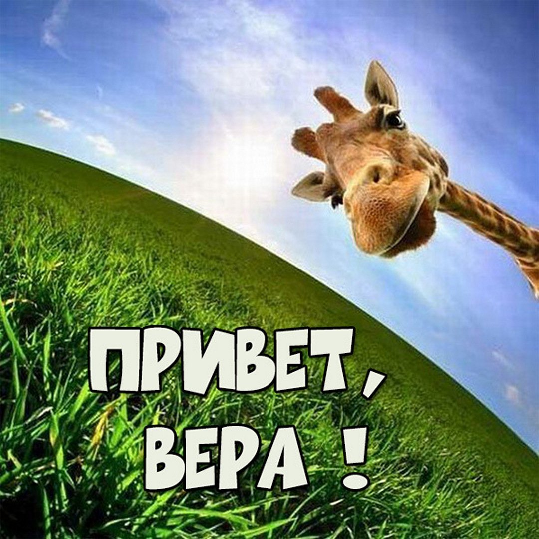 Привет Вера