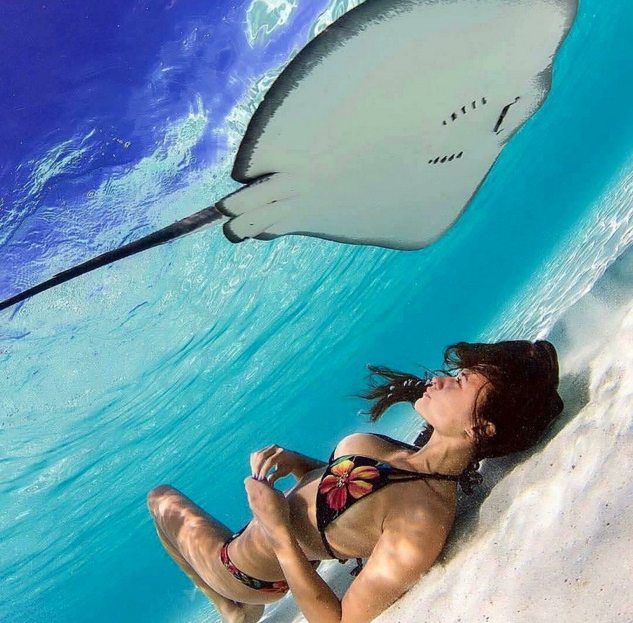 Рава Рэй Королева скатов