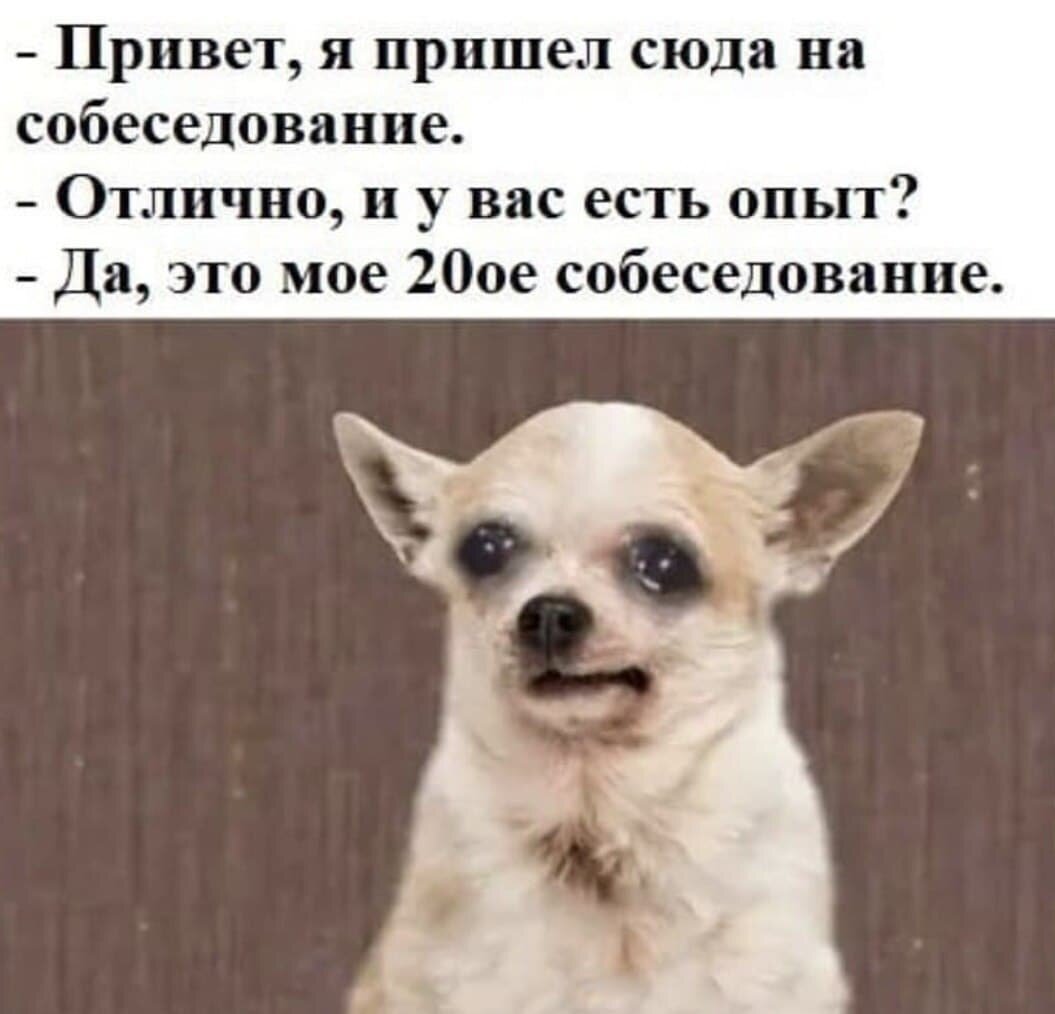 Спалились в отражении