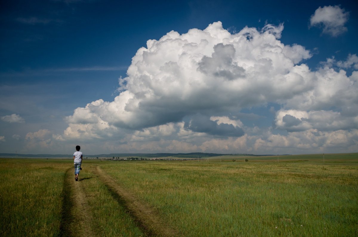 Дорога домой