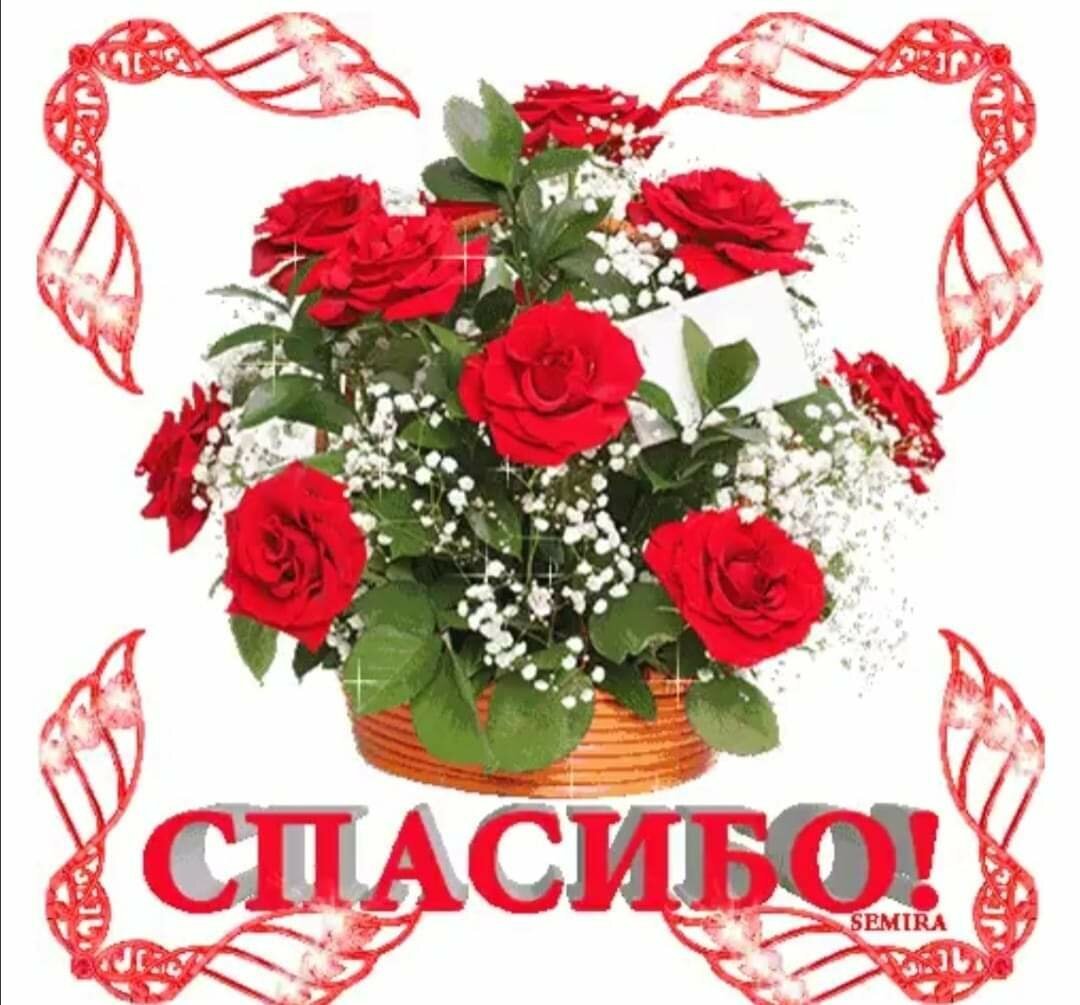 Спасибо большое