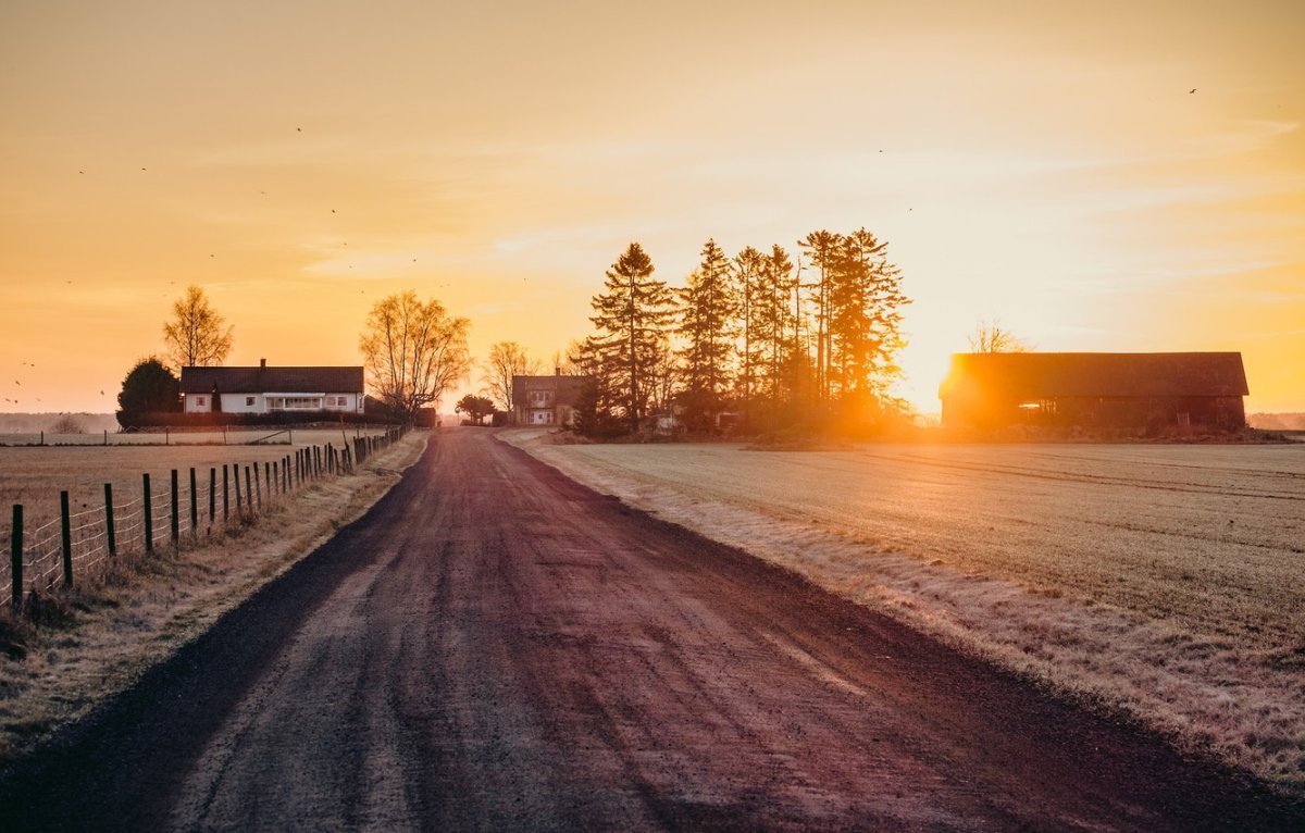 Дорога домой