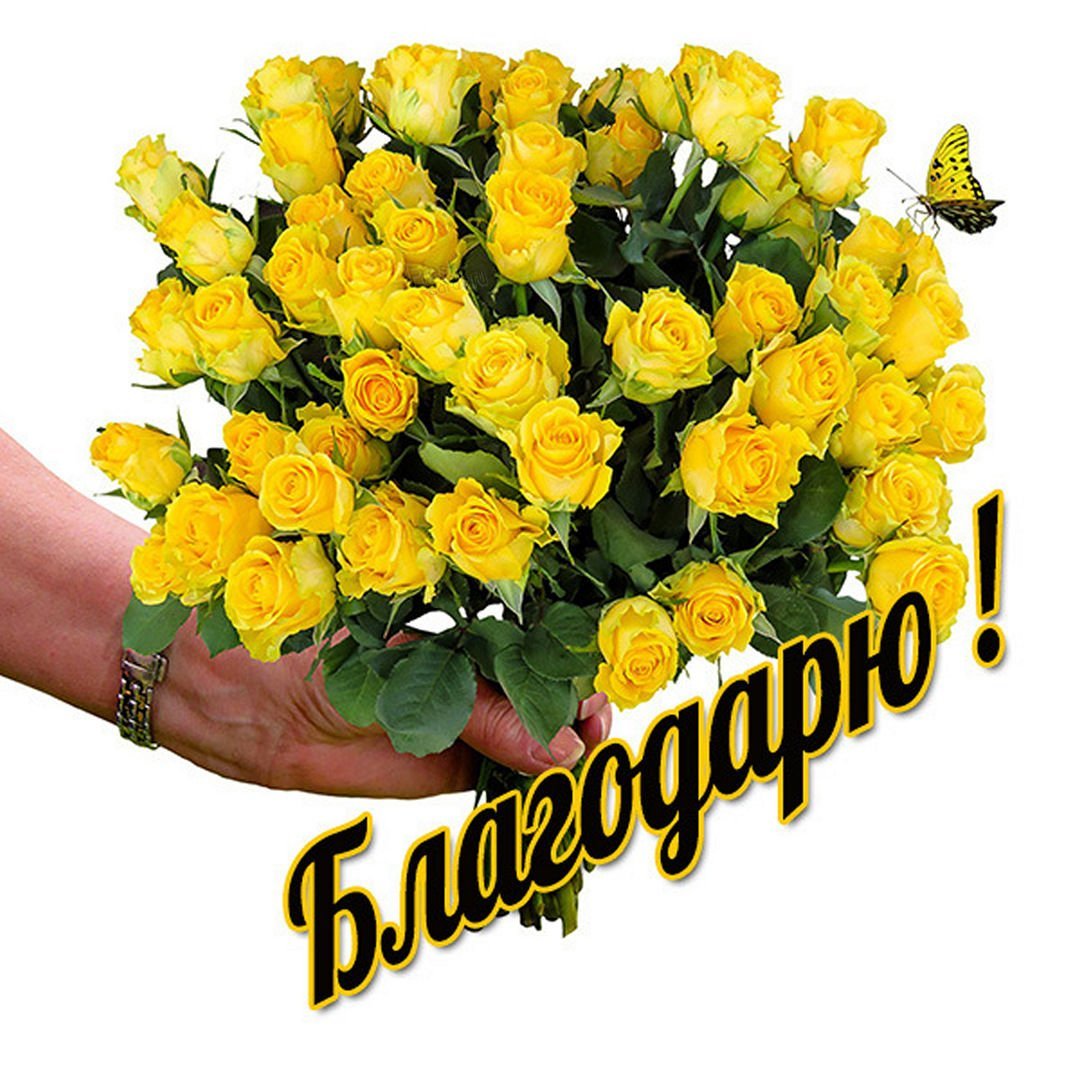 Благодарность картинки