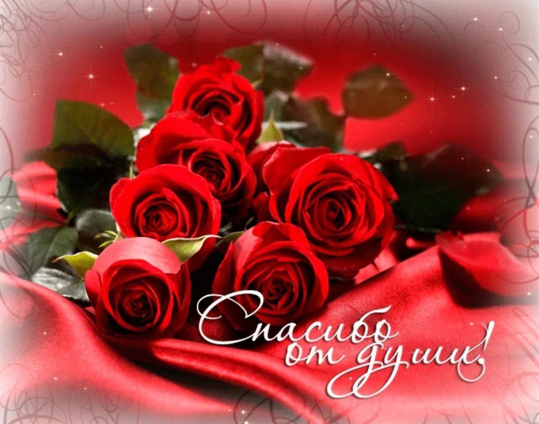 Шикарные розы с благодарностью