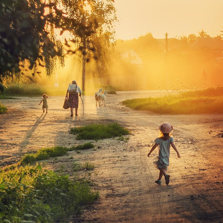 Дорога путь домой