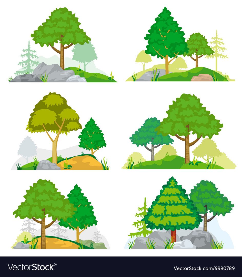 Смешанный лес вектор