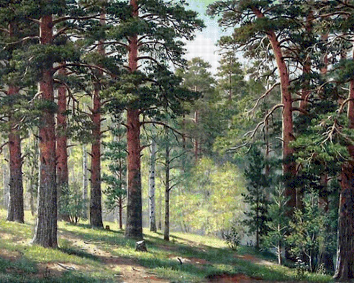 Лес на белом фоне