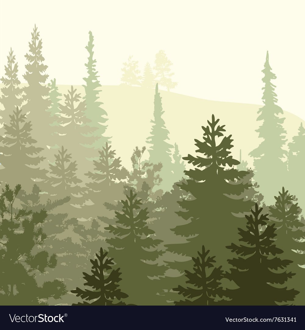 Ель пихта лиственница