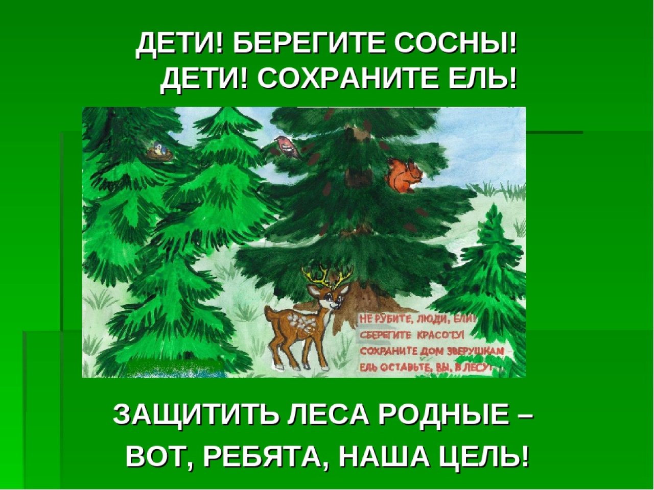 Охрана леса от вырубки. Плакат берегите елочку. Плакат в защиту елок. Листовка берегите ели. Экологическая акция елочка живи.