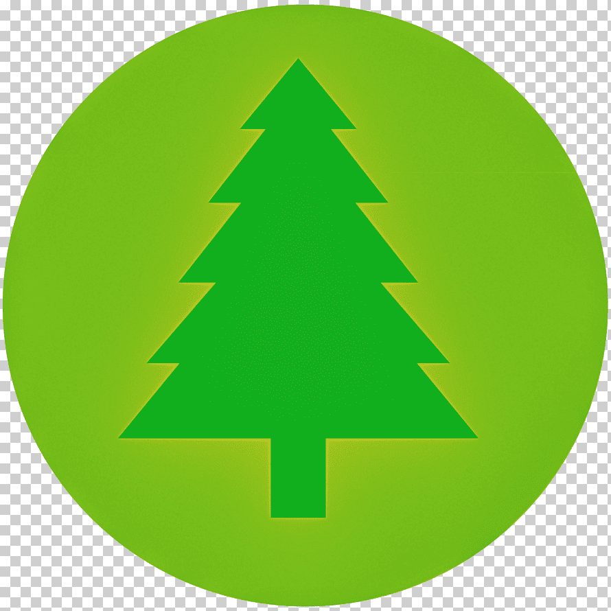 Рисование сосны и ели