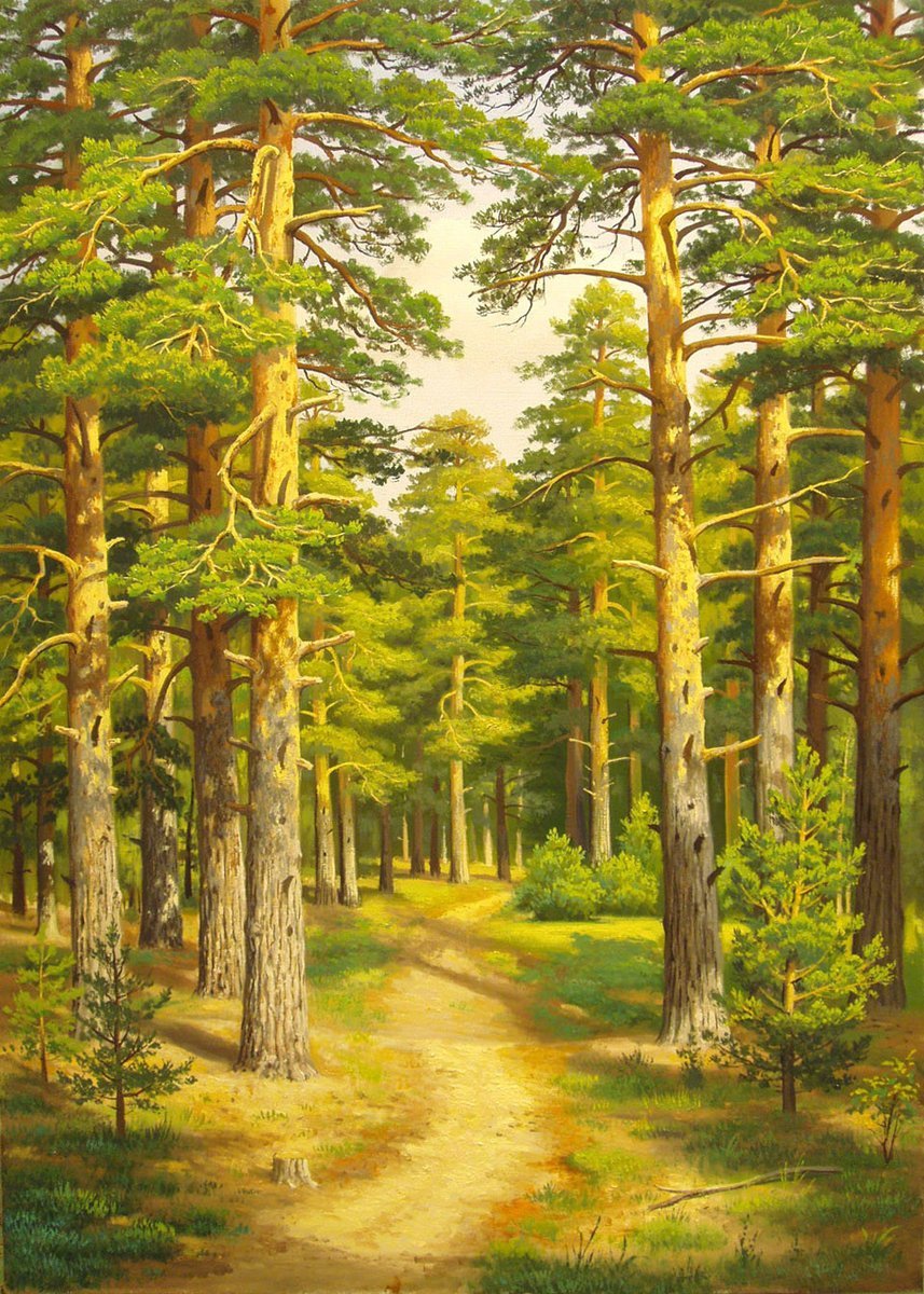 Еловая ветка с шишкой