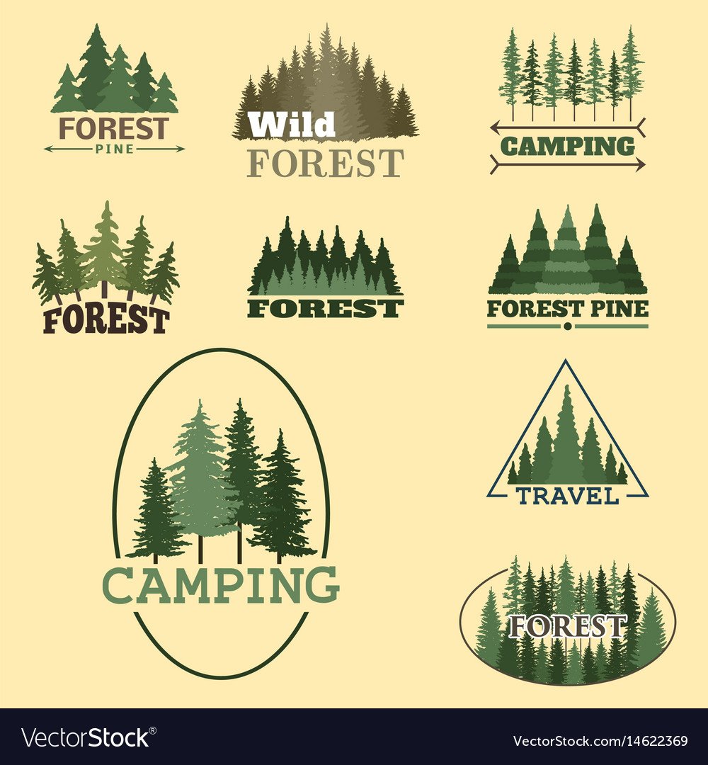 Хвойное и лиственное дерево рисунок