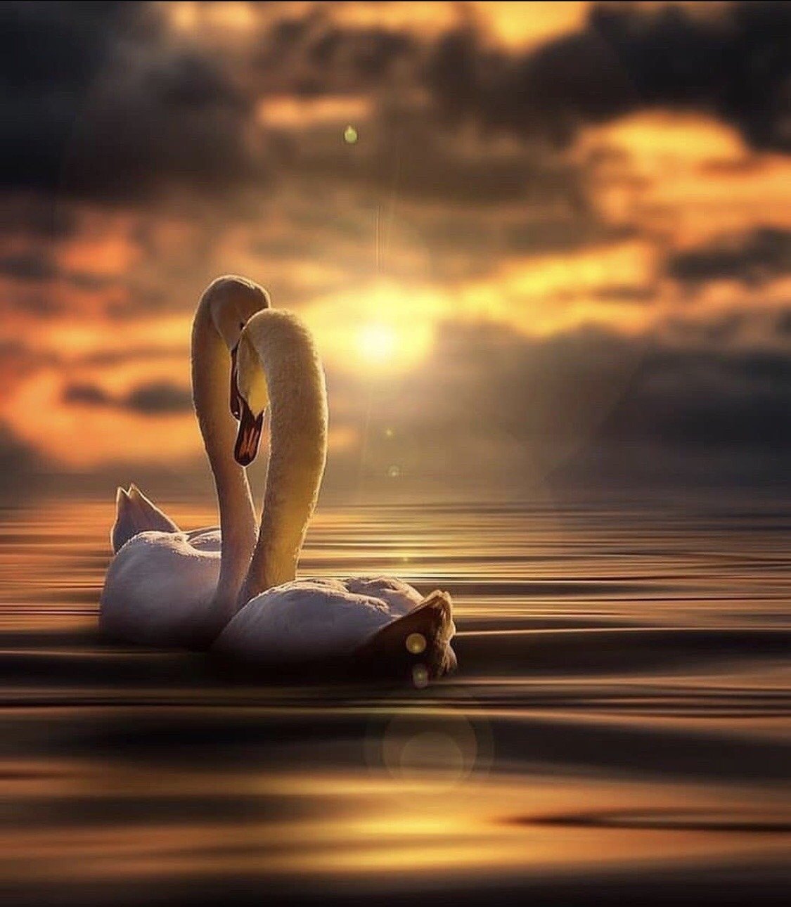 Спокойной ночи