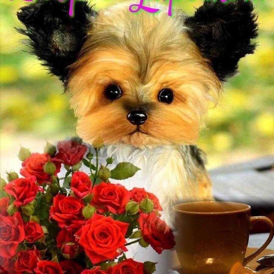 Фигурки из пенки на кофе