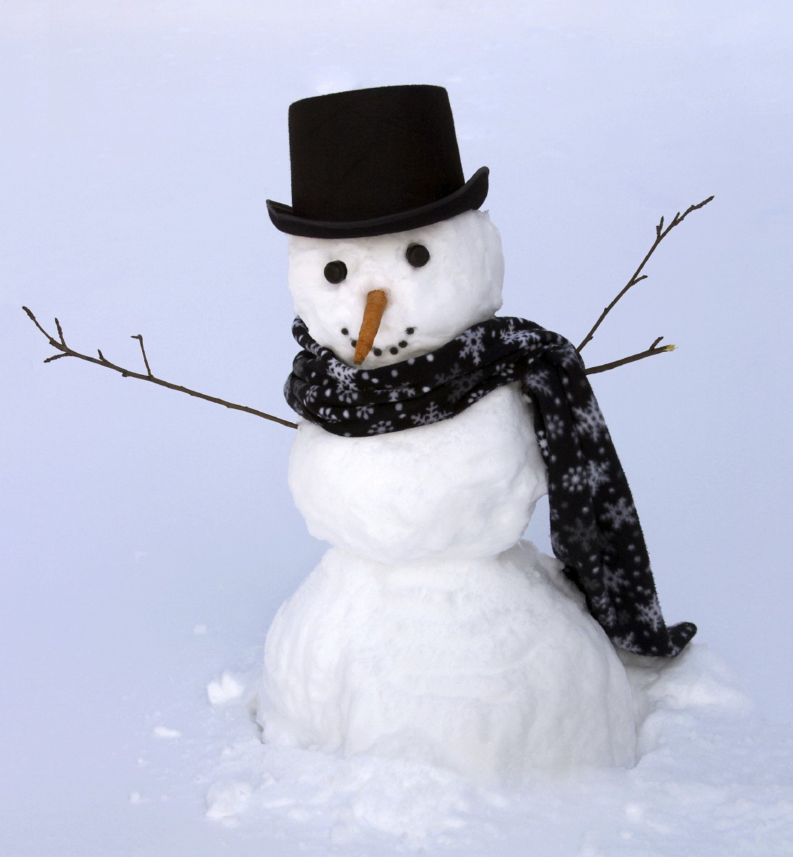 Кот Снеговик