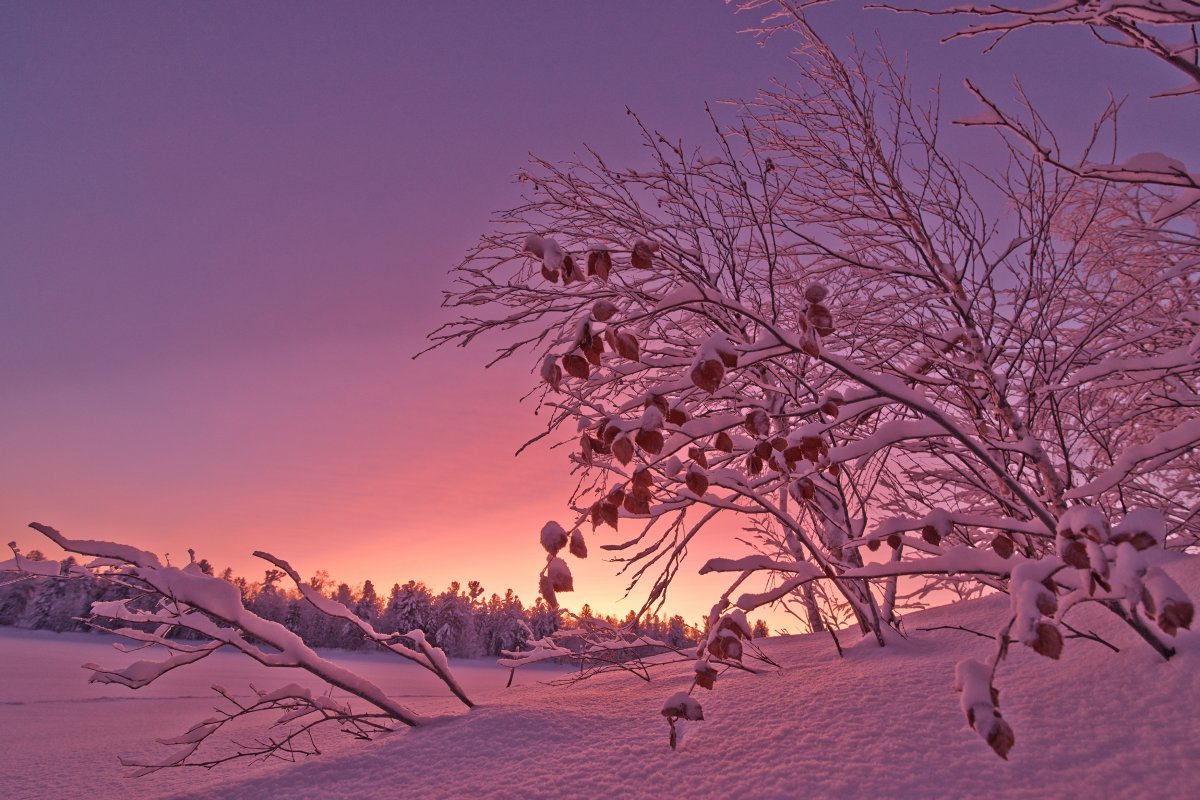 Красивая зима