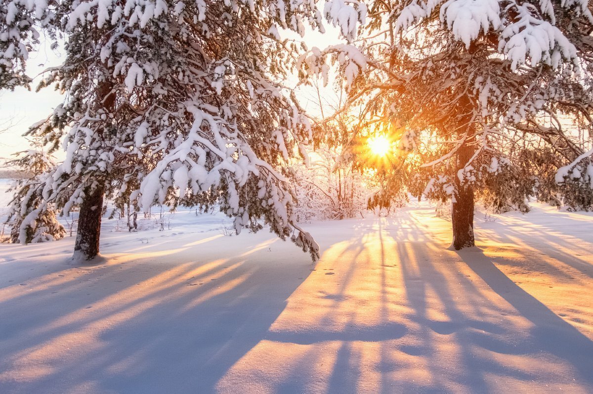 Зима солнце