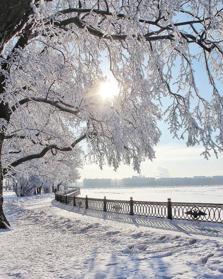 Зимняя природа