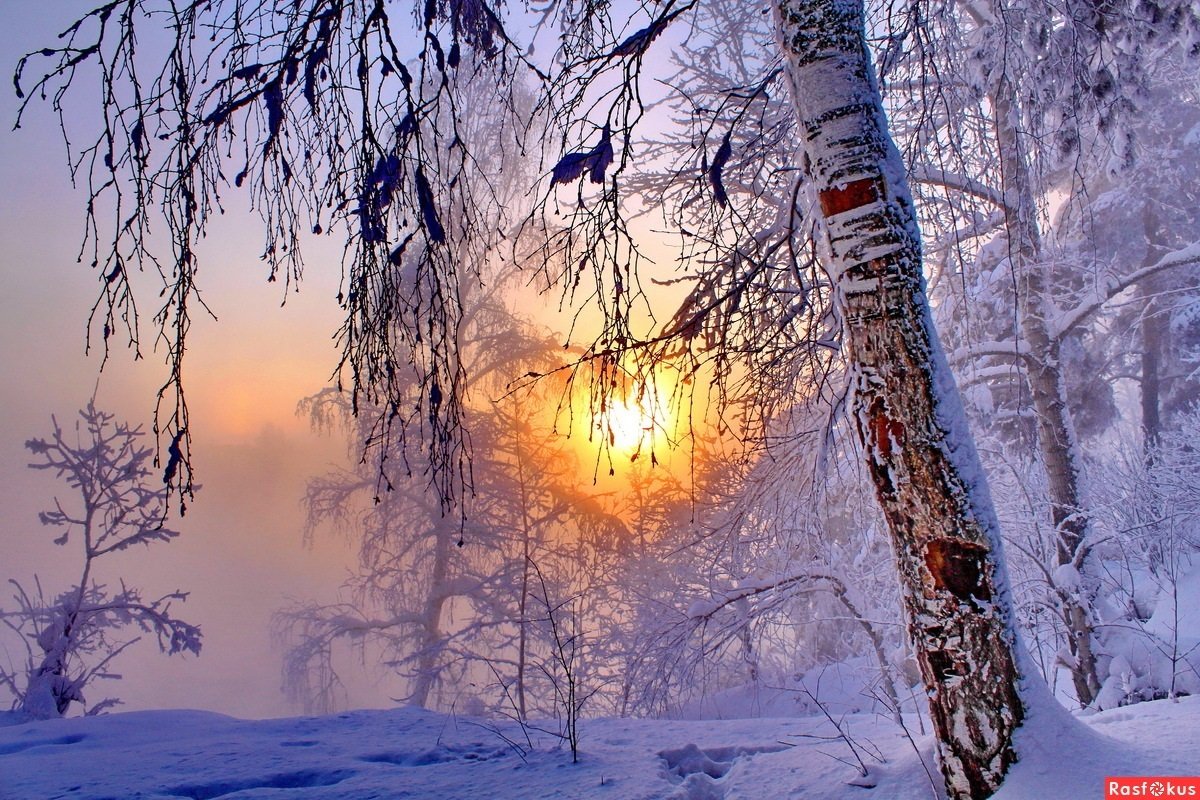 Морозное солнечное утро