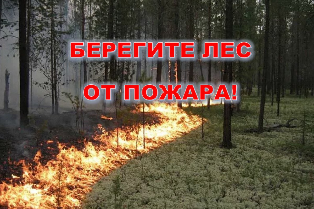 Берегите лес от пожара зимой