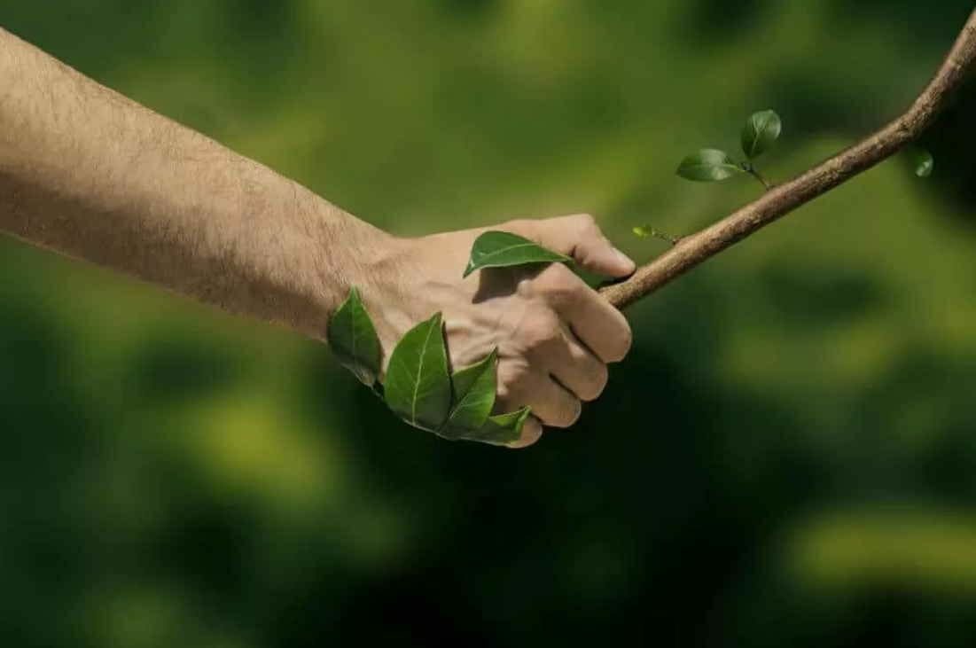 Хрпршее отношение к природе