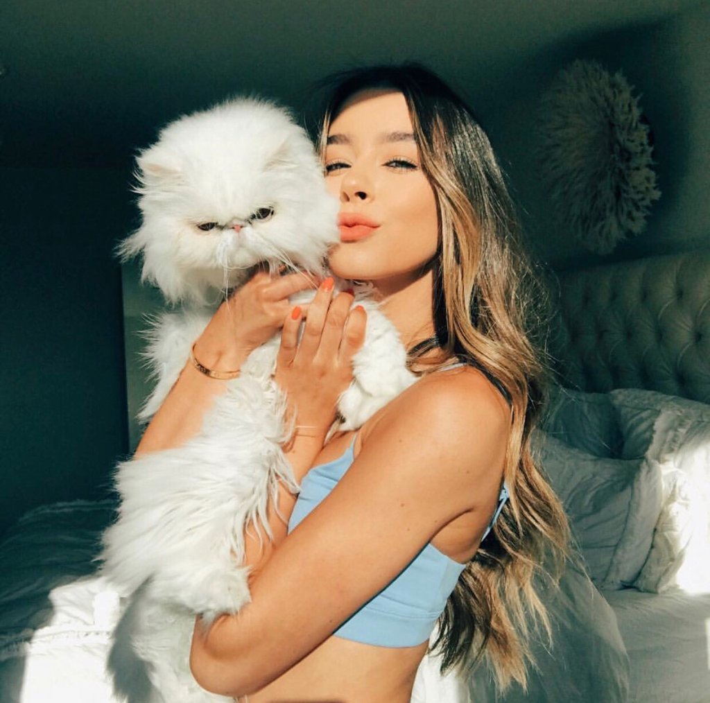 Девушка с котом Эстетика