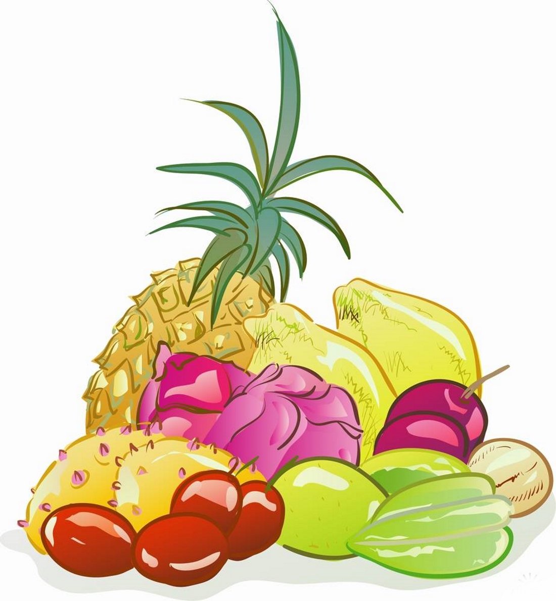 Тропические фрукты вектор