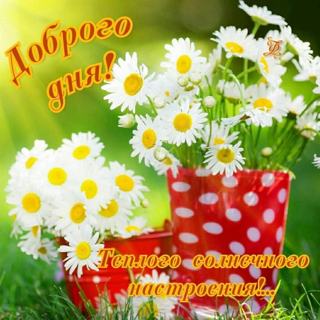 Поздравления с новым днем