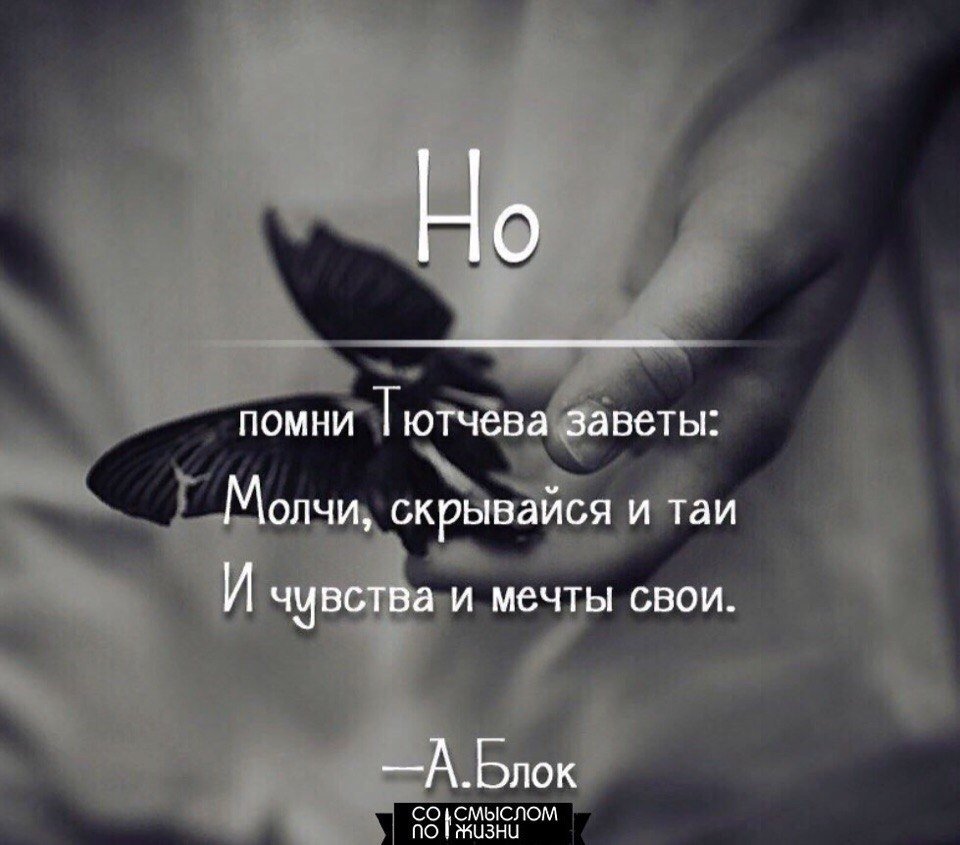 Цитаты про жизнь