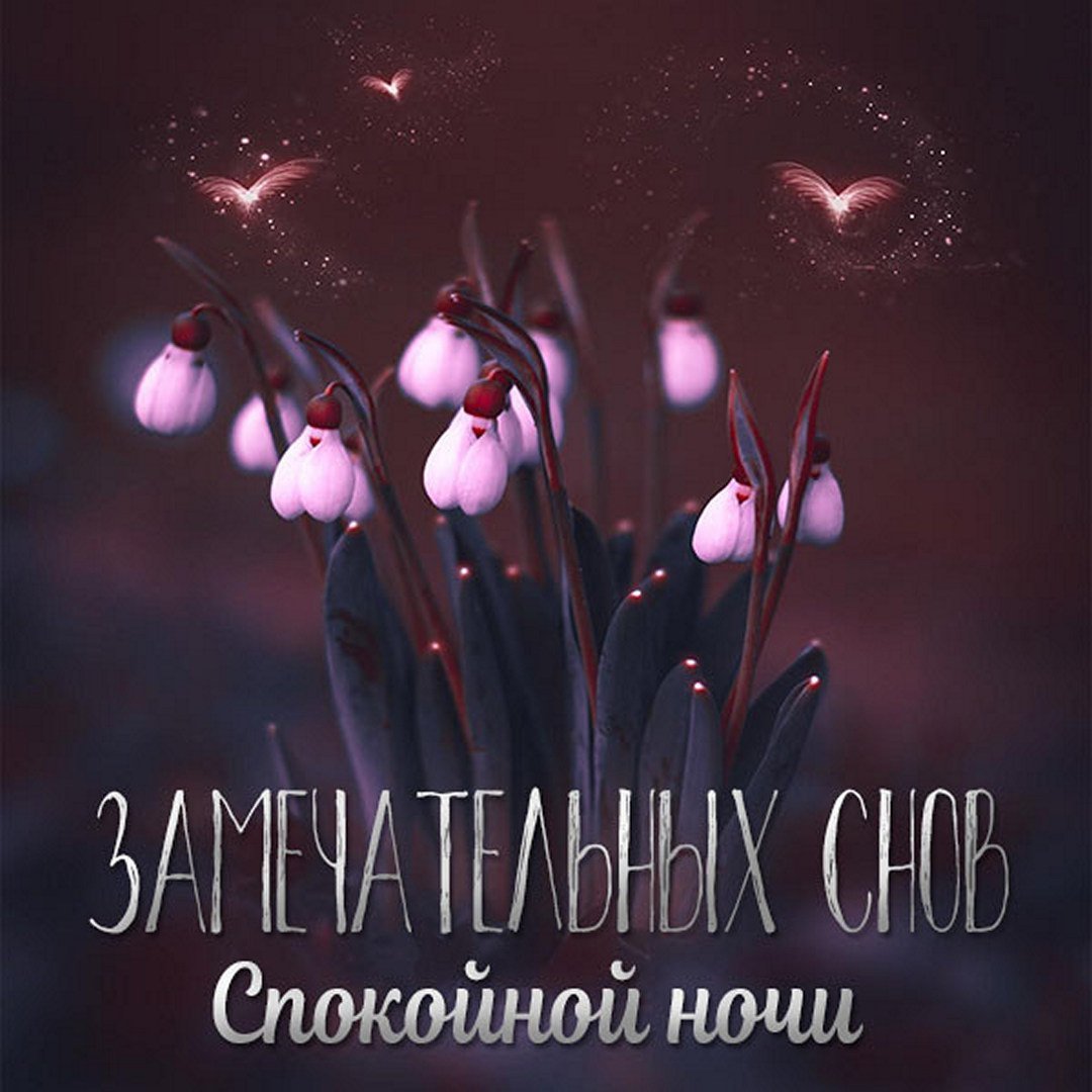 Спокойной ночи мамулечка