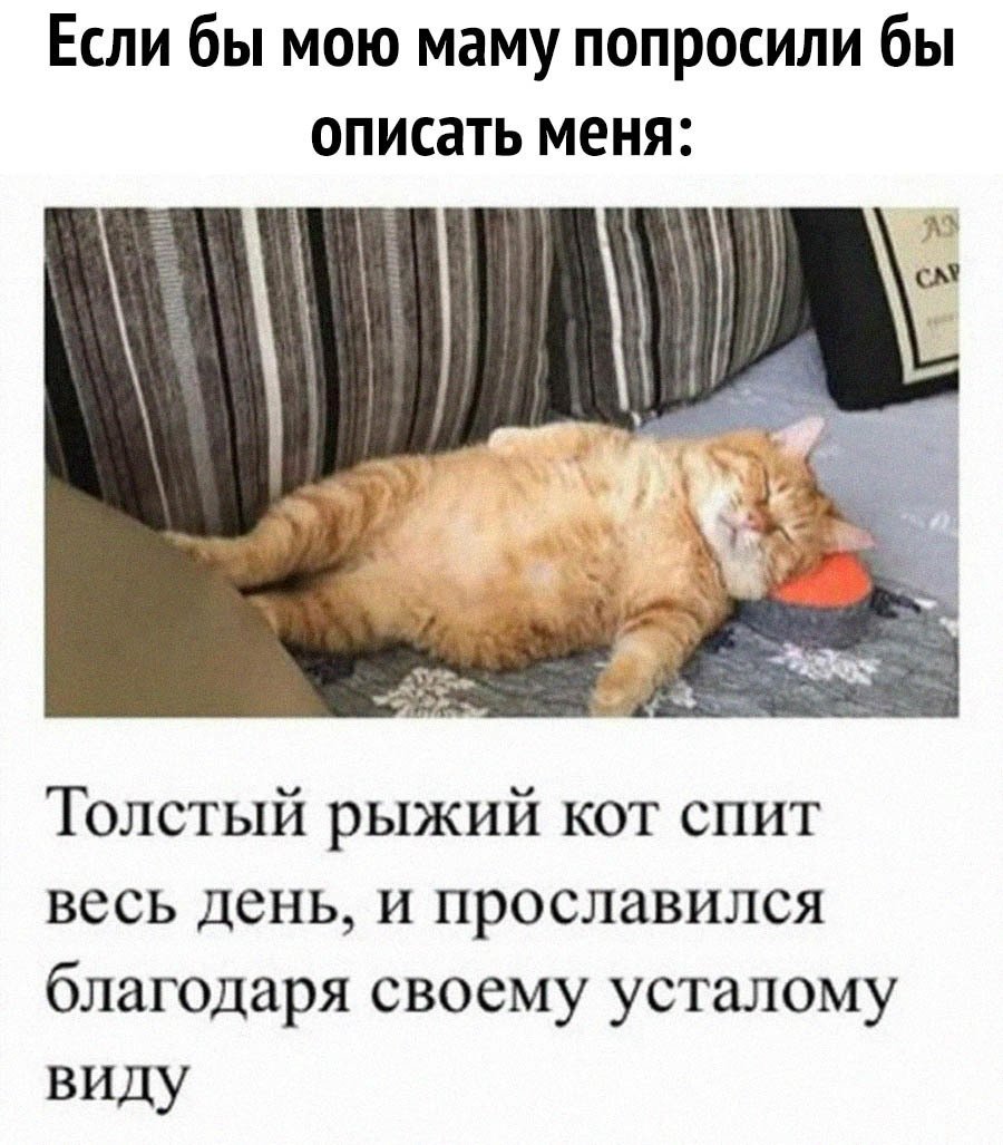 Прикольные стишки для поднятия настроения