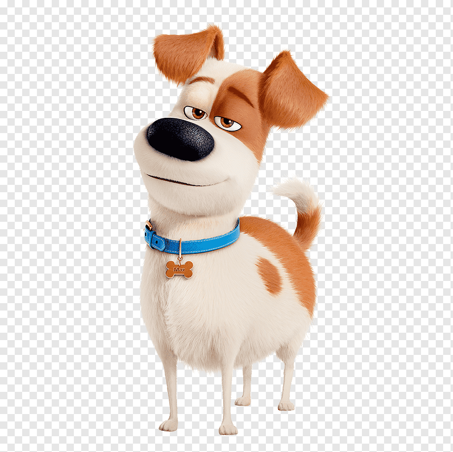 Тайная жизнь домашних животных 1