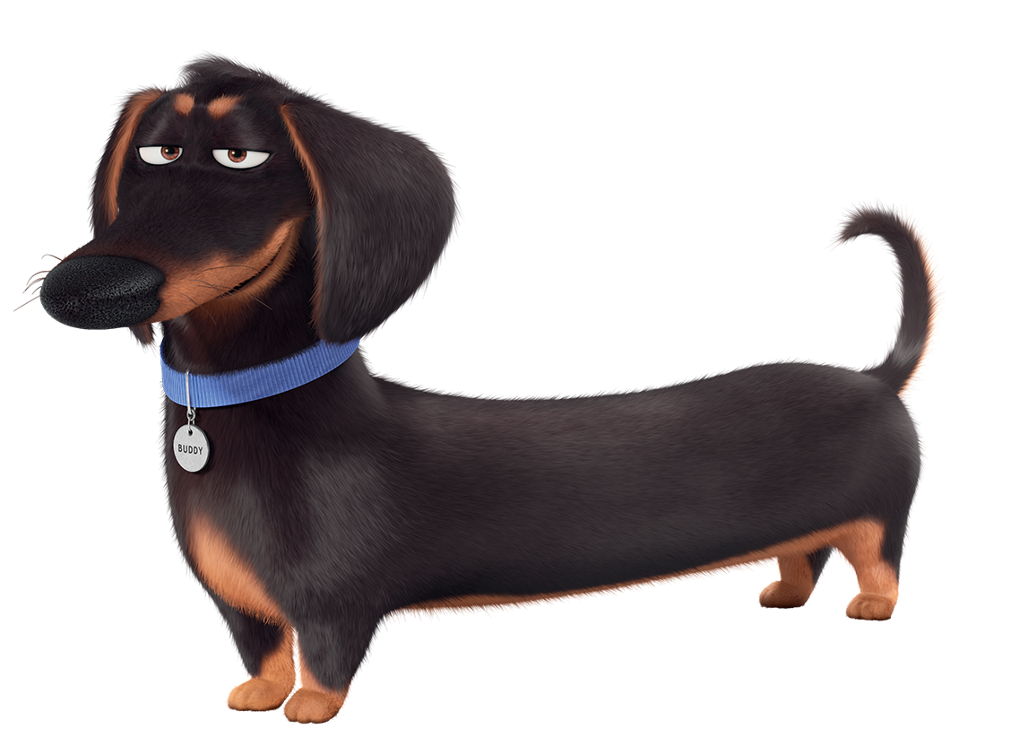 Тайная жизнь домашних животных 2 пудель