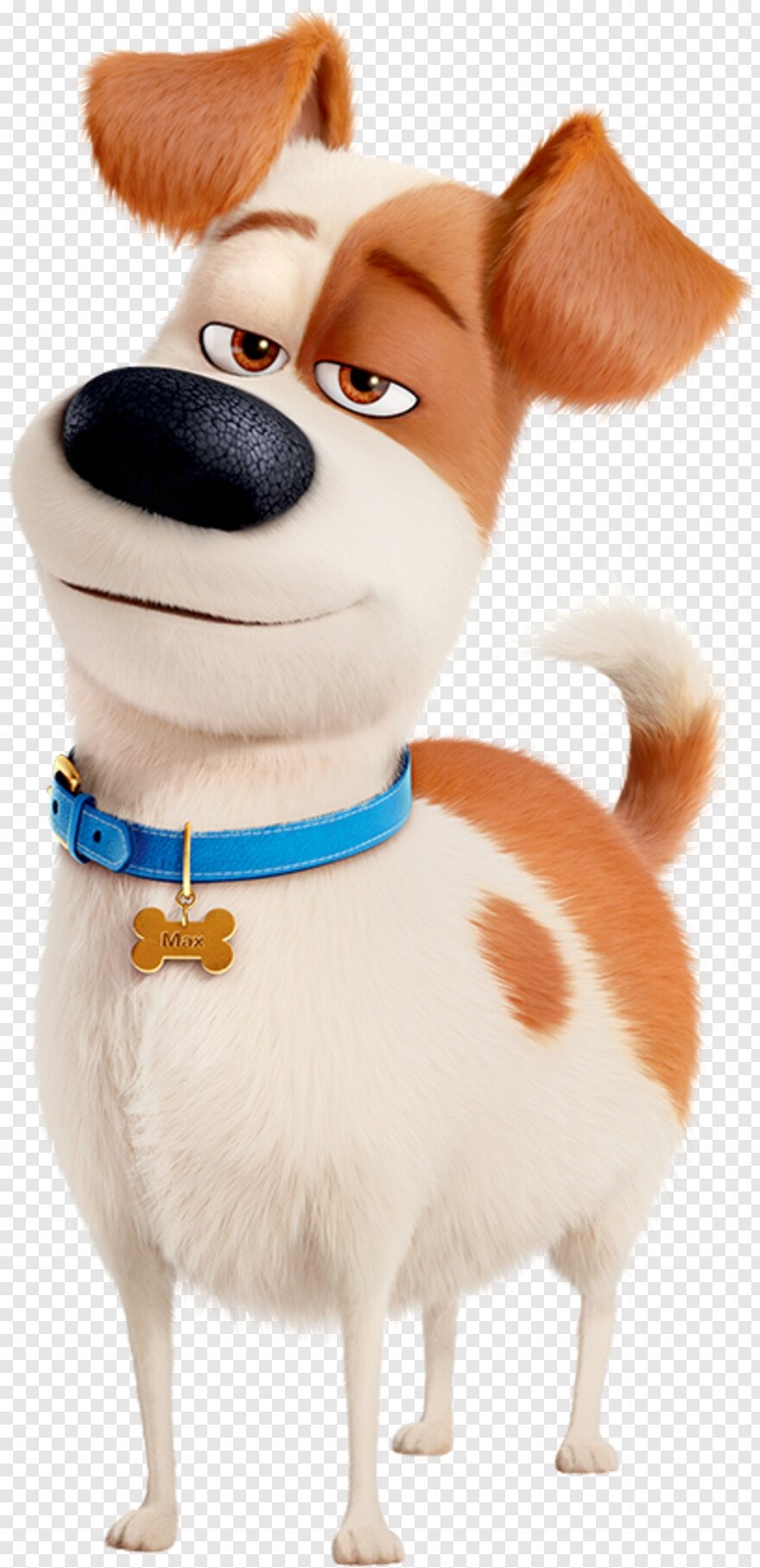 Тайная жизнь домашних животных мел