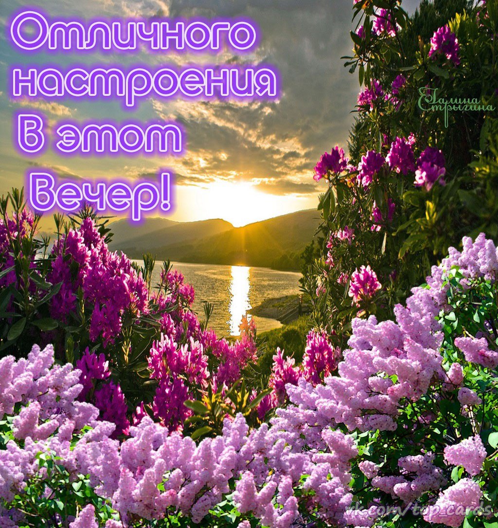 Чудесного вечерного вечера