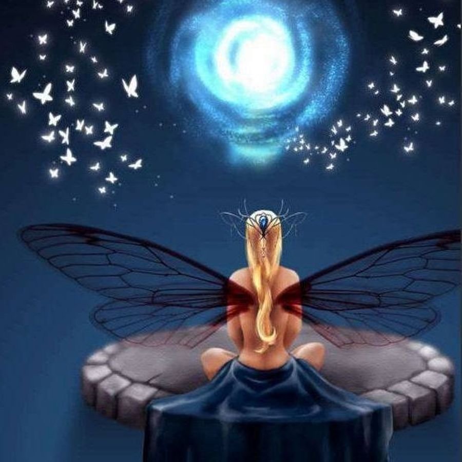 Спокойной ночи Фея