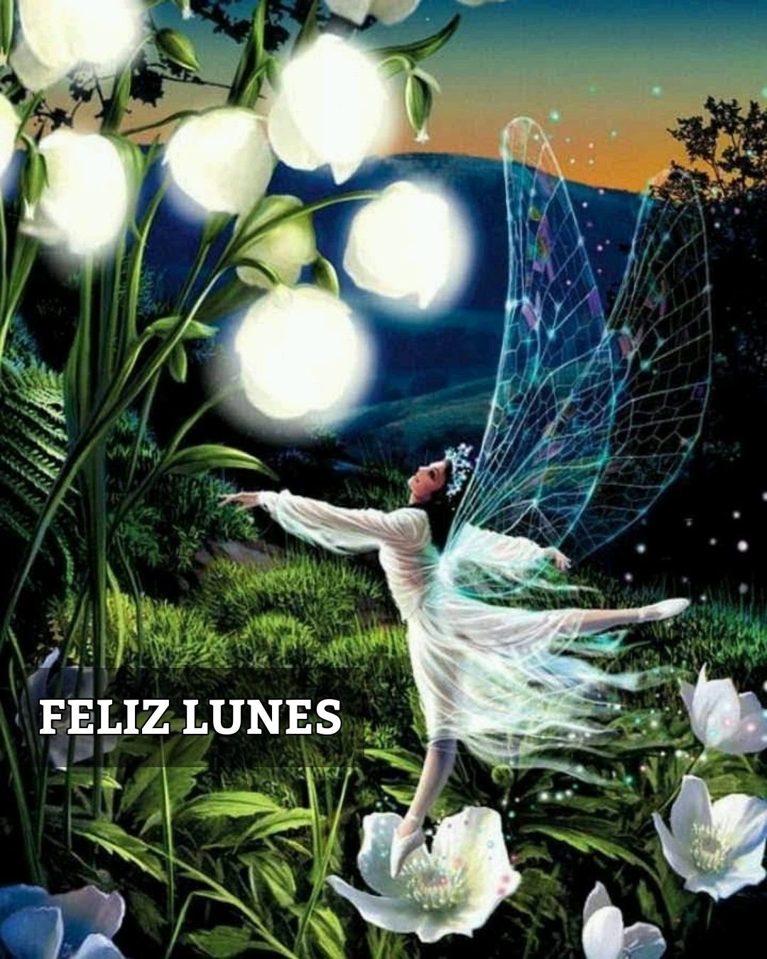 Волшебных и сказочных снов