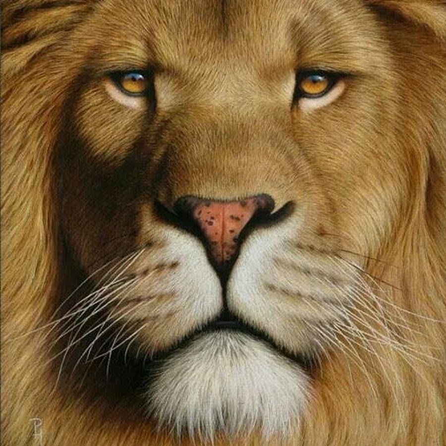 Морда Льва