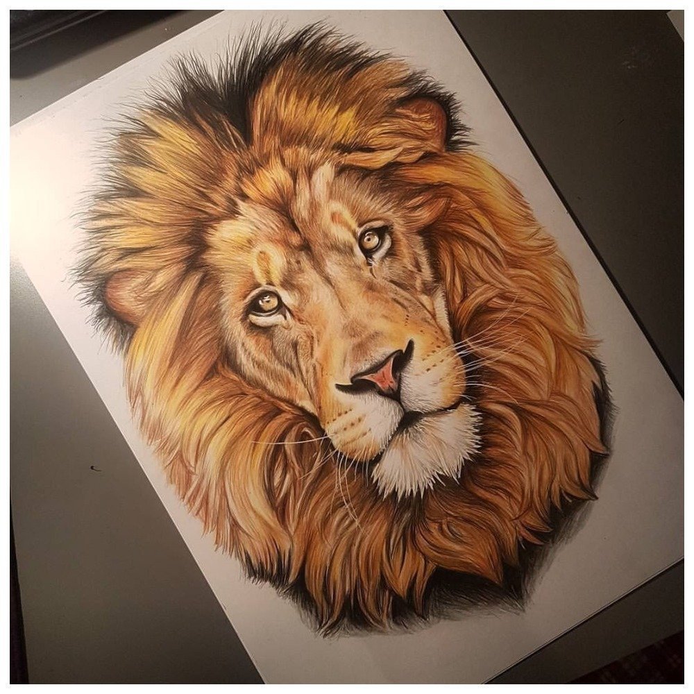 Голова Льва цветная