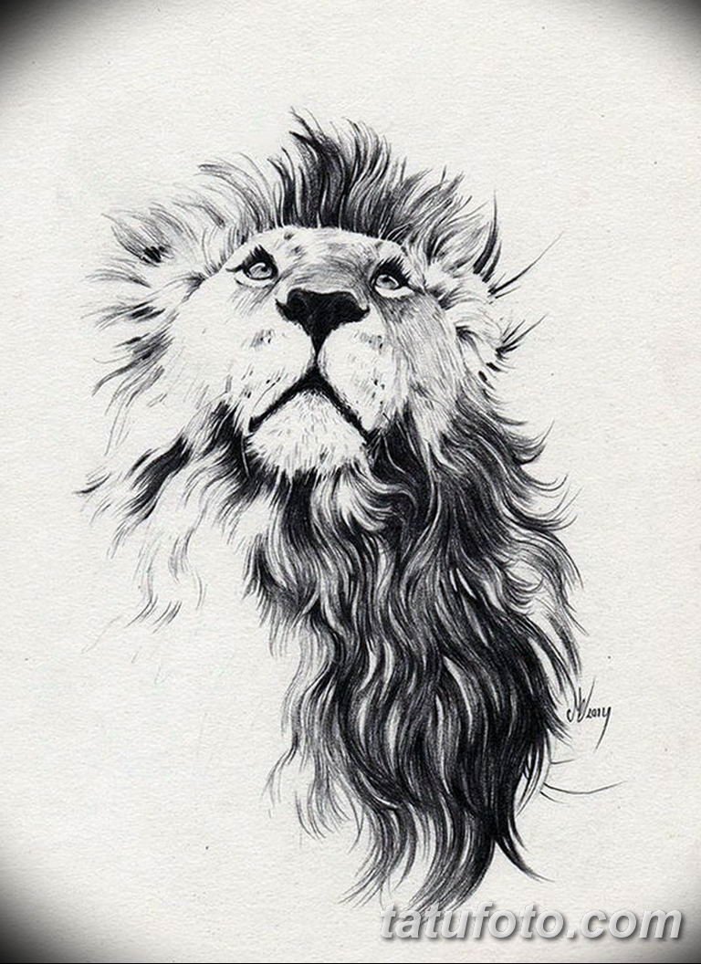 Лев эскиз