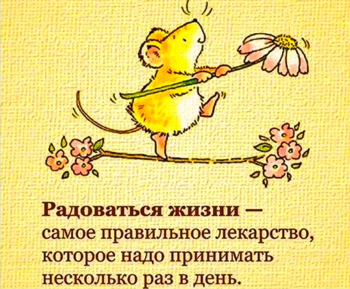 Позитивные цитаты