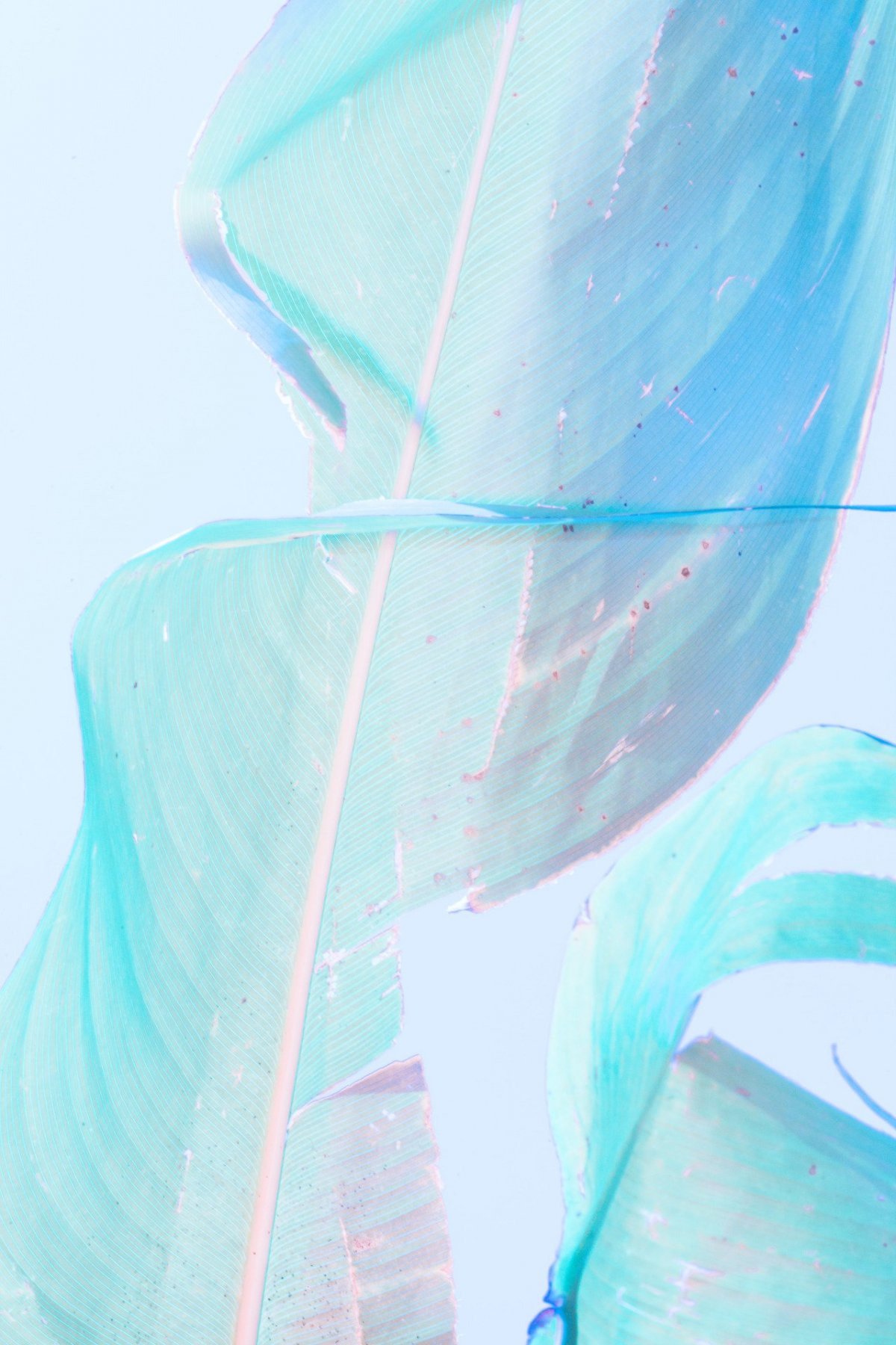 Красивые пастельные тона