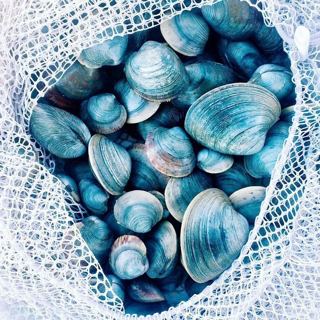 Лето Эстетика