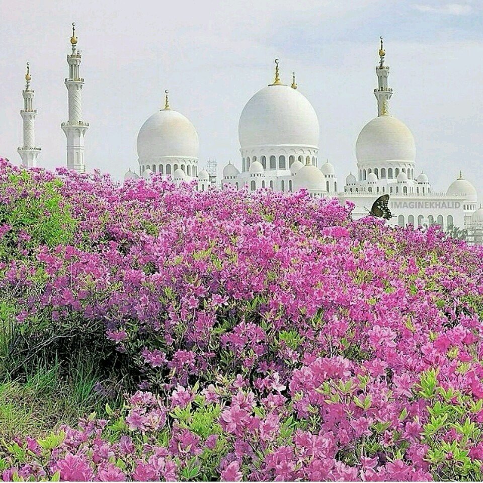 Джума мубарак с благословенной пятницей