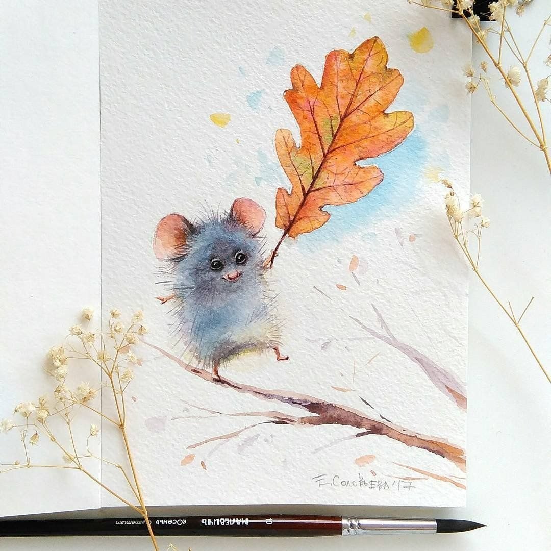 Иллюстратор Евгения Соловьева