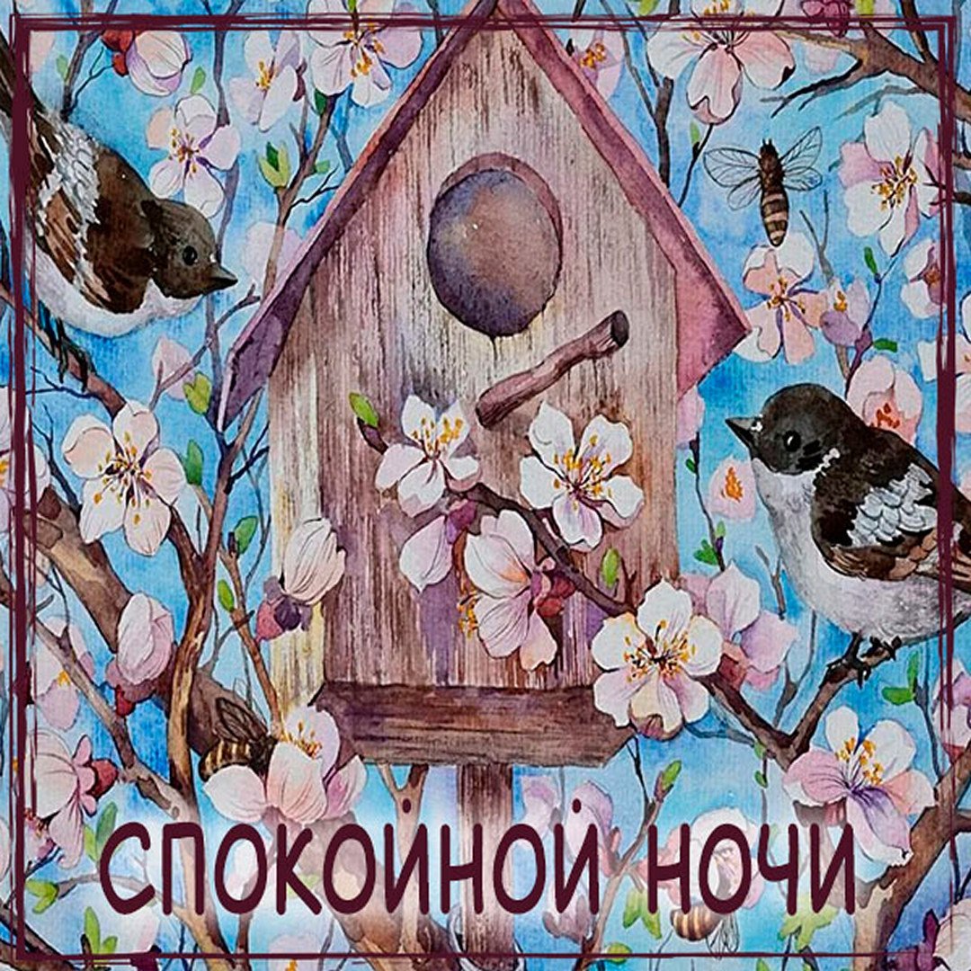Открытки спокойной ночи весенние с вишней