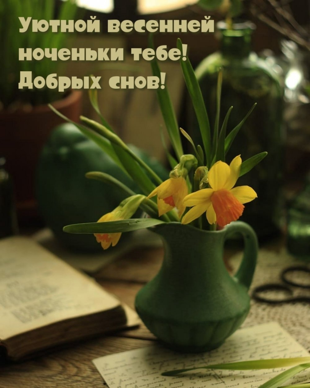 Волшебных сновидений и доброй ночи