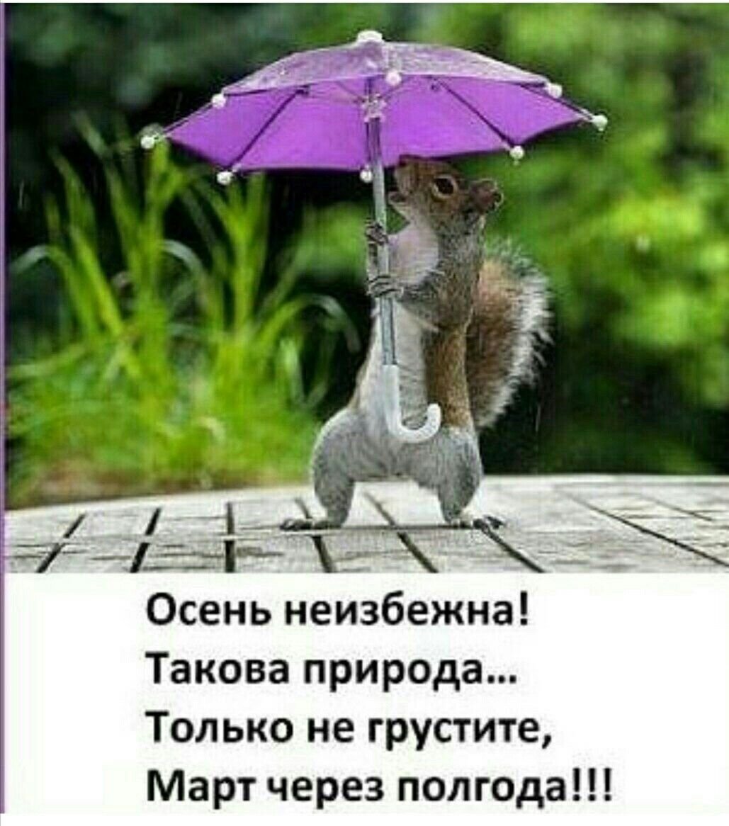 С добрым осенним утром прикольные