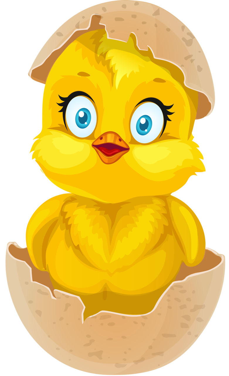 Цыпленок в скорлупе